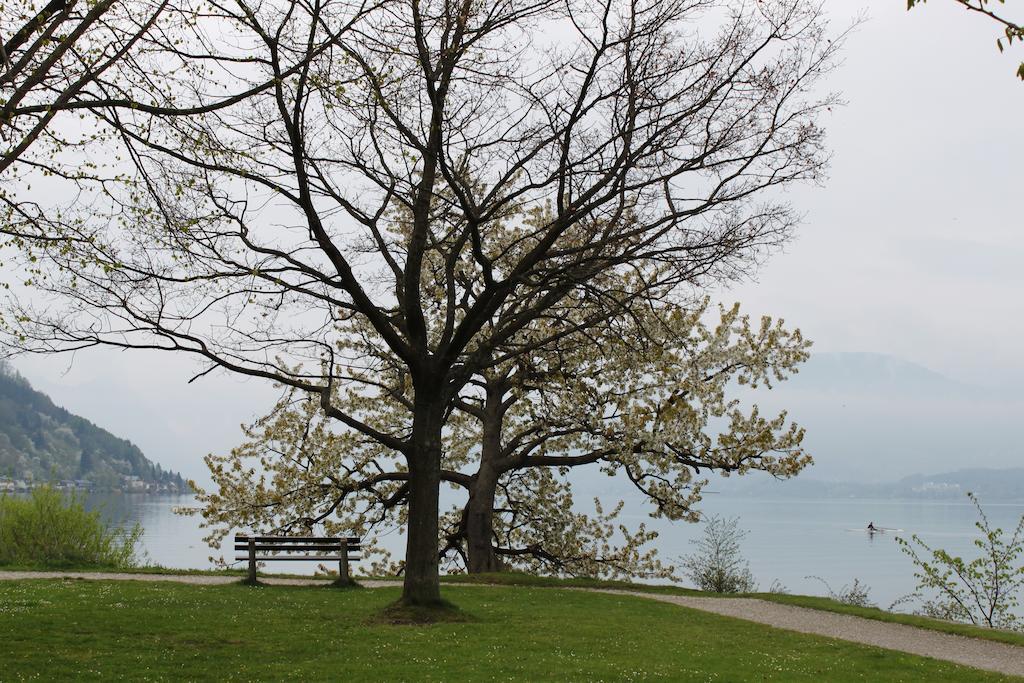 Ferienwohnungen Walk Gmunden Oda fotoğraf