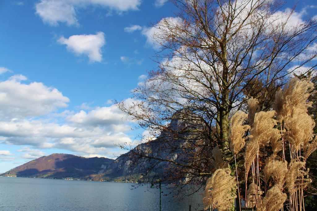 Ferienwohnungen Walk Gmunden Oda fotoğraf